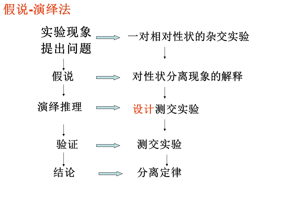 第2部分孟德尔的豌豆杂交实验二名师编辑PPT课件.ppt_第3页