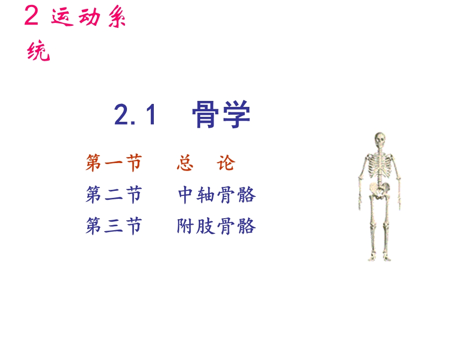 最新：解剖生理学骨学ppt课件文档资料.ppt_第2页