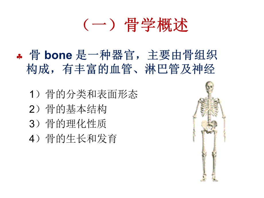 最新：解剖生理学骨学ppt课件文档资料.ppt_第3页