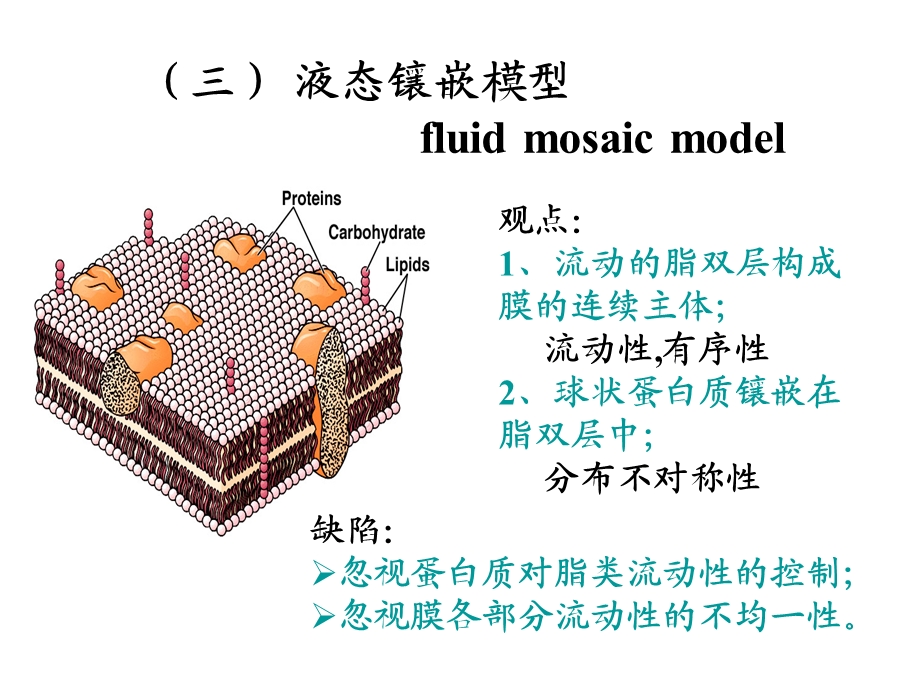 最新：第二细胞膜的分子结构文档资料.ppt_第3页