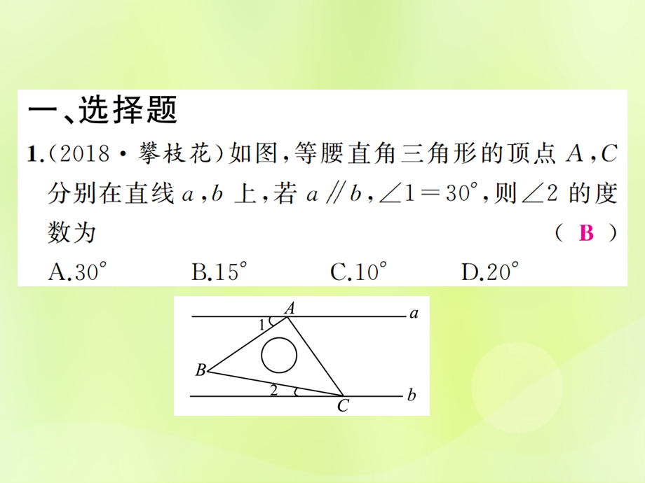 中考数学总复习基本图形一第20讲直角三角形与勾股定理练本课件.pptx_第1页