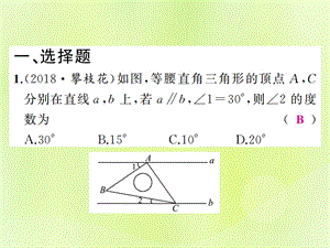 中考数学总复习基本图形一第20讲直角三角形与勾股定理练本课件.pptx