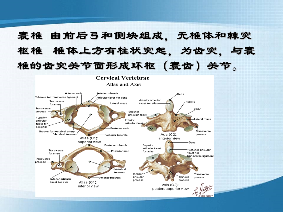 哈尔滨医科大学肿瘤外科颈椎病PPT文档资料.ppt_第3页