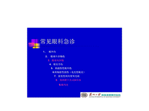 最新：常见眼科急诊处理文档资料.ppt