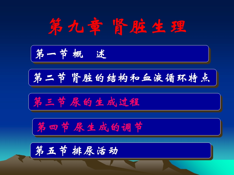 人体解剖生理学课件第九章泌尿系统的结构与功能精选文档.ppt_第1页