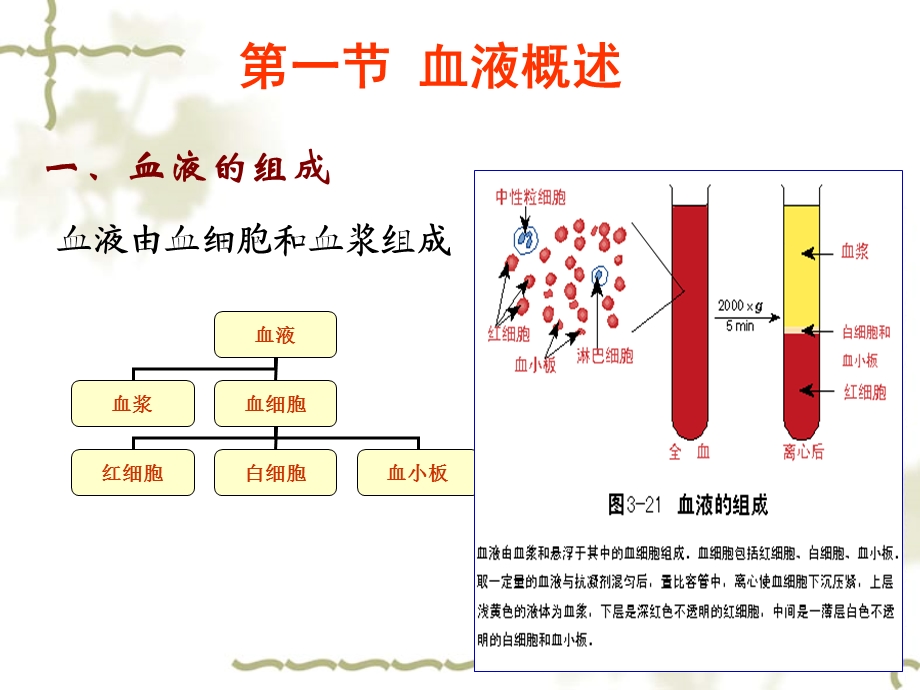 3第三章血液PPT文档.ppt_第1页