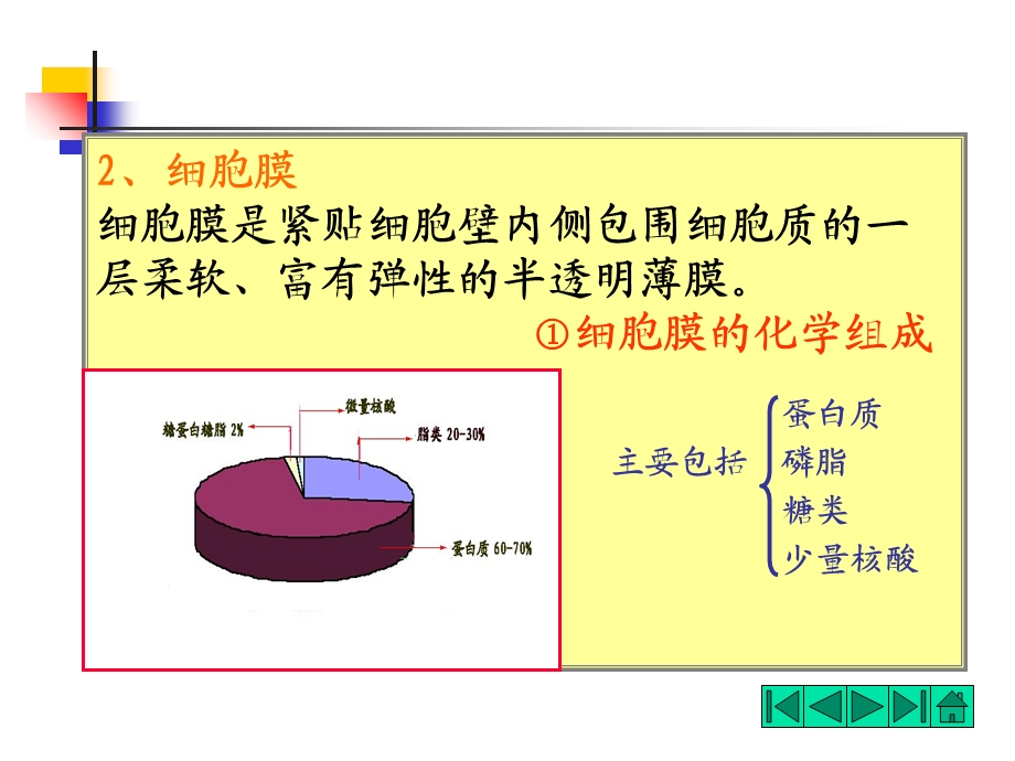 4第一章细菌23PPT课件.ppt_第1页