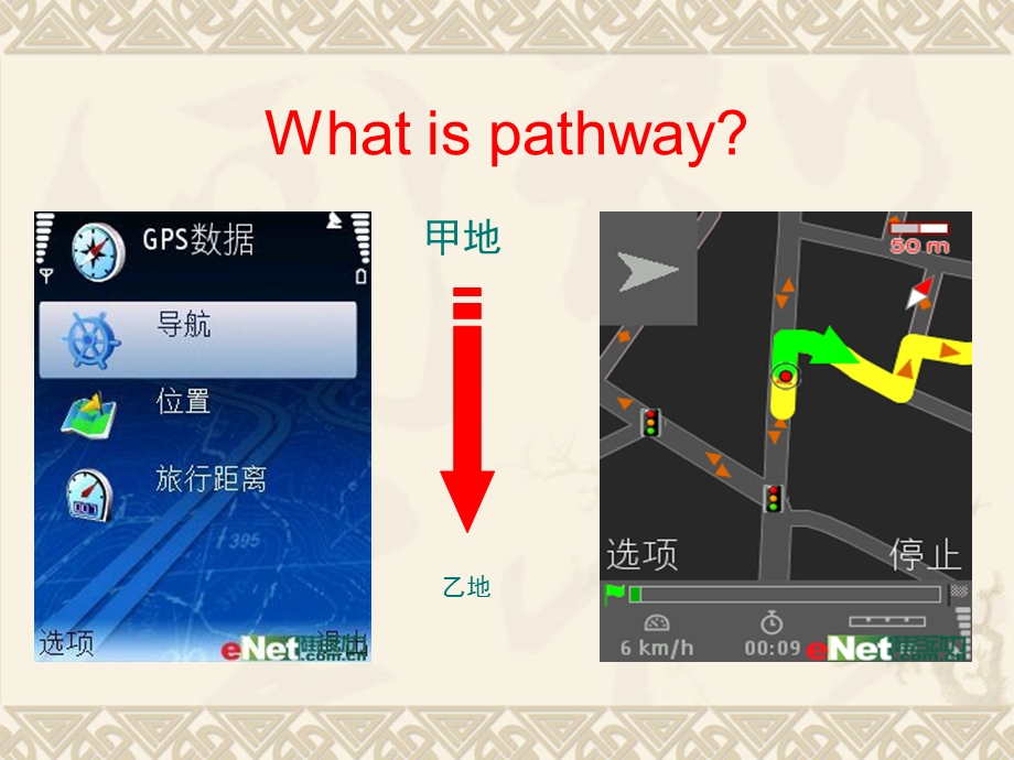 心血管内科基本诊疗路径介绍精选文档.ppt_第1页