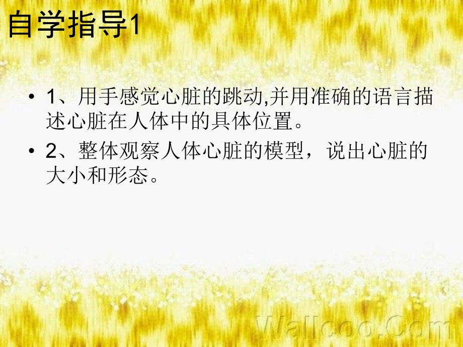 最新：7心脏是生命之泵PPT文档.ppt_第3页