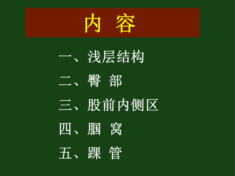 [临床医学]下肢ppt.ppt_第2页