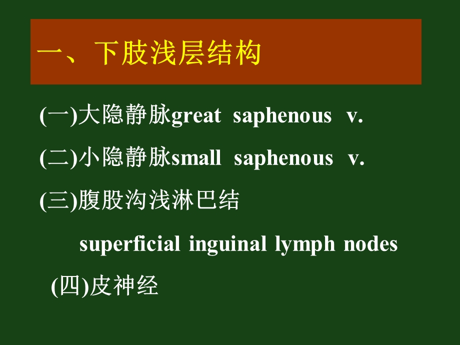 [临床医学]下肢ppt.ppt_第3页