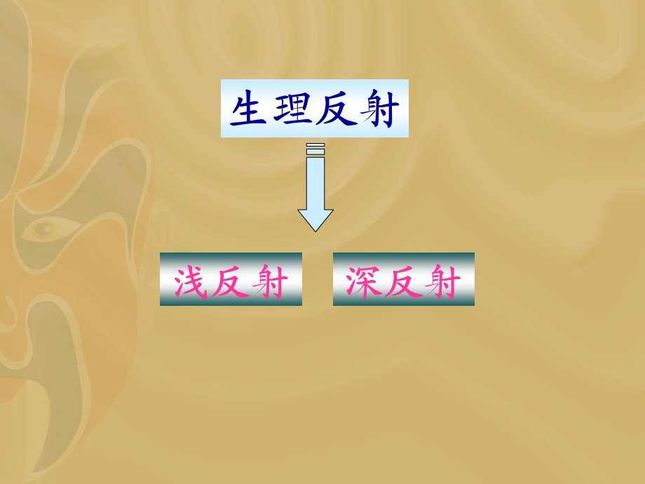 神经射课件精选文档.ppt_第1页