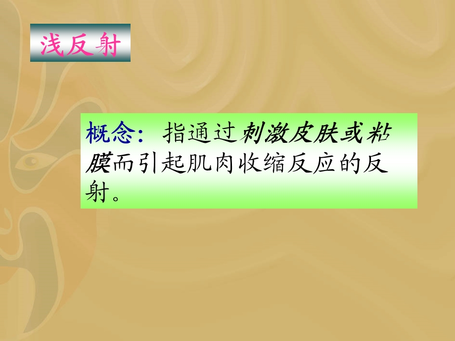 神经射课件精选文档.ppt_第2页