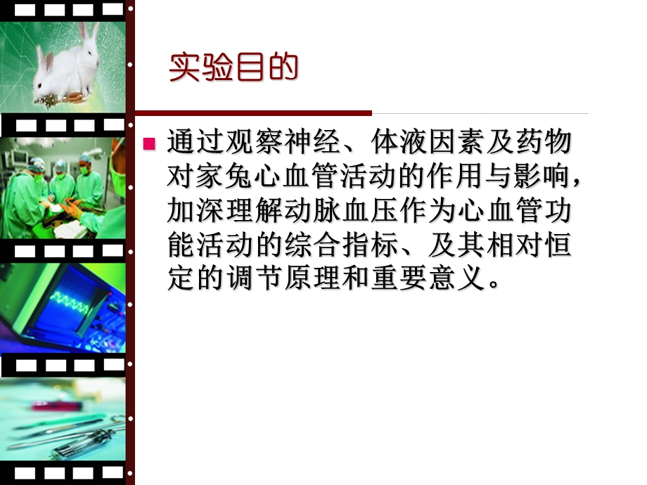 最新心血管系统综合实验PPT文档.ppt_第1页