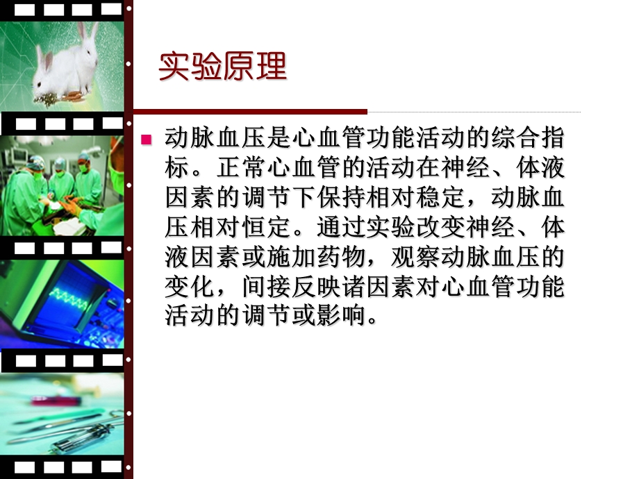 最新心血管系统综合实验PPT文档.ppt_第2页