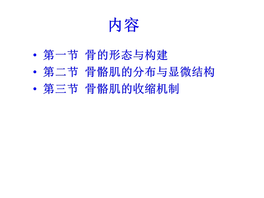 动身伊始骨骼与肌肉文档资料.ppt_第2页