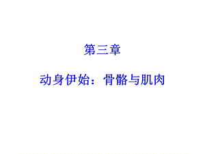 动身伊始骨骼与肌肉文档资料.ppt