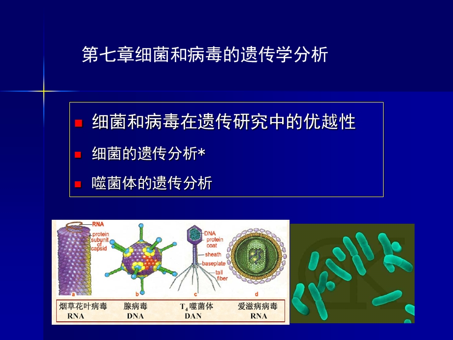 第八章：细菌和病毒的遗传学分析文档资料.ppt_第1页