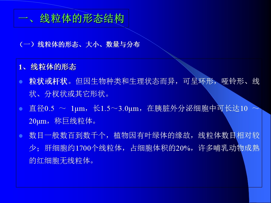 最新细胞的能量转换1PPT文档.ppt_第2页