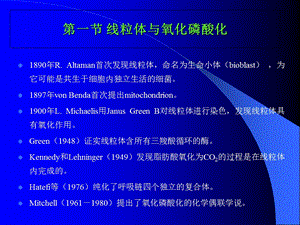 最新细胞的能量转换1PPT文档.ppt