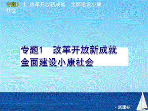 [中考]中考政治二轮复习热点专题1改革开.ppt