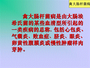 禽病学禽病临床诊断彩色图谱25禽大肠杆菌病西南民族大学精选文档.ppt