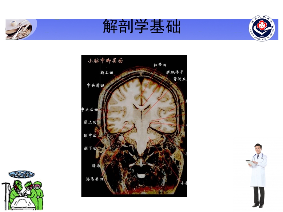 最新：脑疝文档资料.ppt_第3页