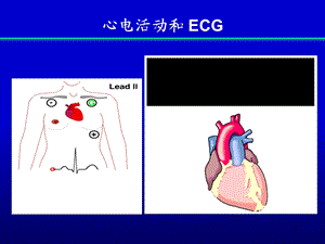 22抗心律失常药PPT课件.ppt