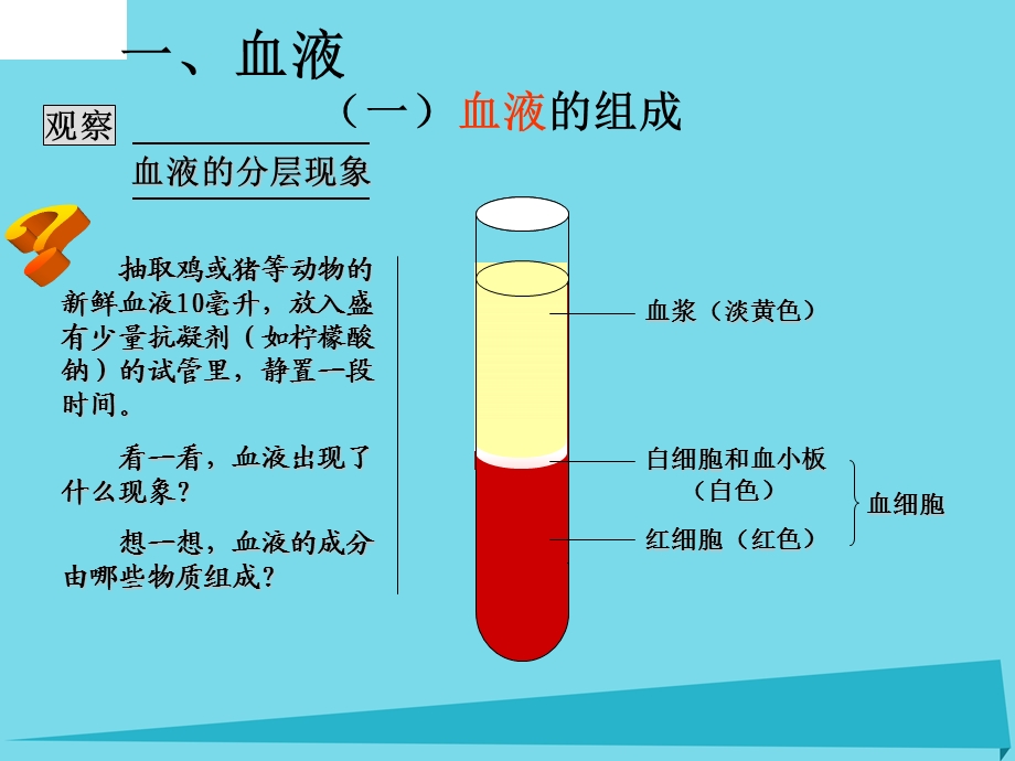 中考生物人体内物质的运输复习课件.pptx_第2页