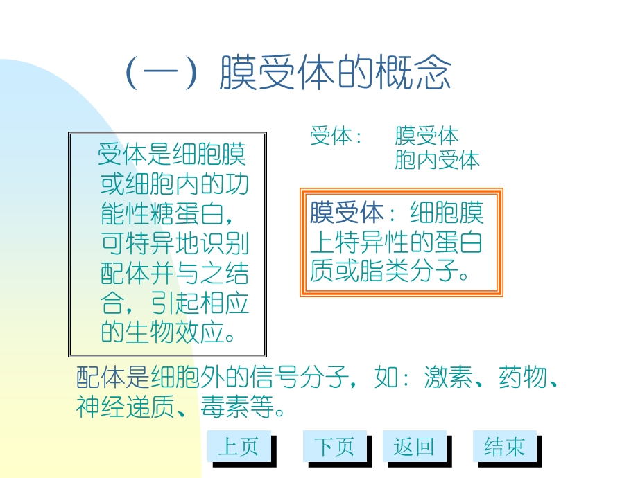 第七章细胞通讯与信号转导文档资料.ppt_第3页