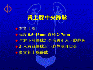 最新后腹腔镜肾上腺手术探讨PPT文档.ppt