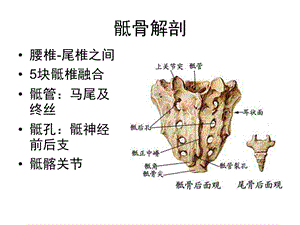 最新：骶骨肿瘤ppt课件文档资料.ppt