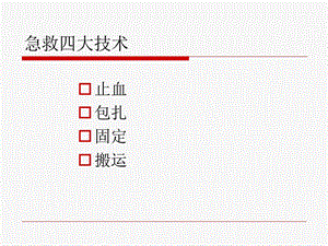 急救四大技术文档资料.ppt