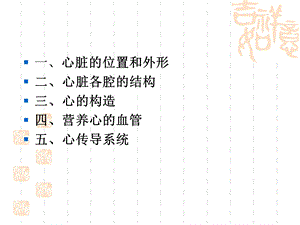 心脏生理结构1文档资料.ppt