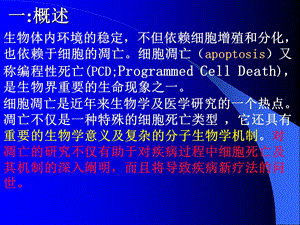 最新：分子生物学细胞调亡专题讲座课件文档资料.ppt