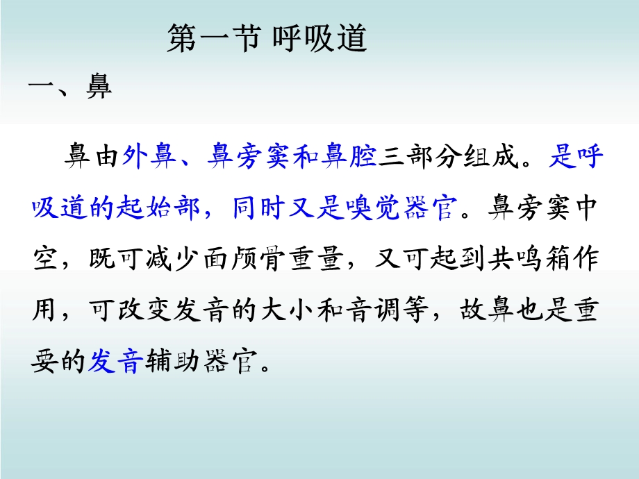 最新：人体解剖生理学——第四章 呼吸系统文档资料.ppt_第3页