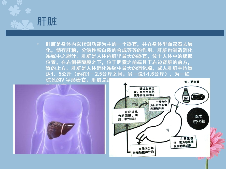 最新专家讲解慢性病之肝病河北肝硬化医院PPT文档.ppt_第2页