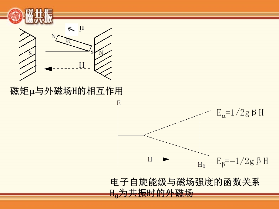 电子顺磁共振ESRPPT文档.ppt_第3页