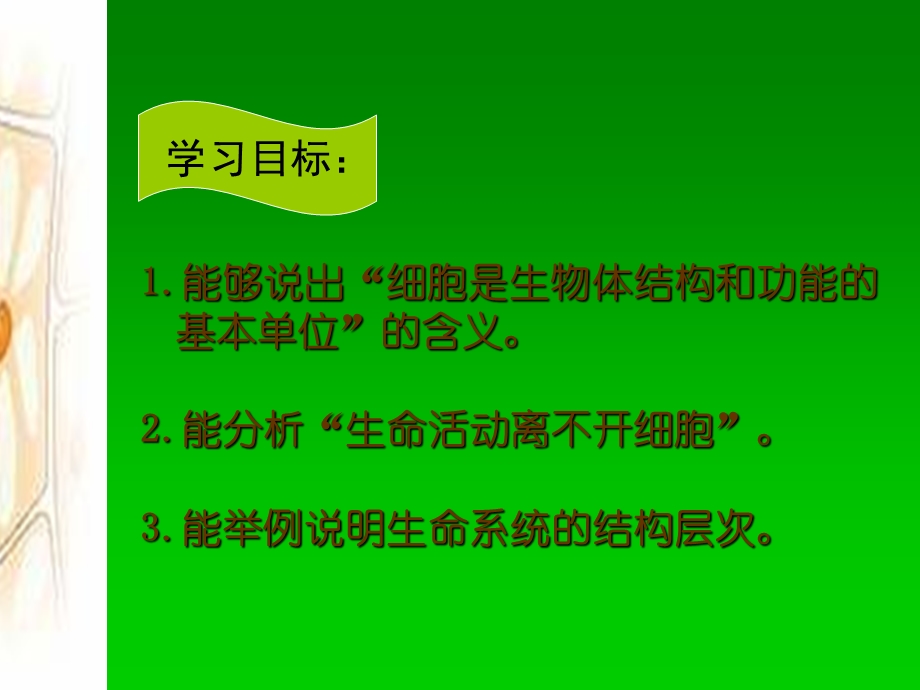 禄丰三中代云海生物走近细胞课件文档资料.ppt_第1页