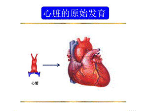 最新：胎儿心脏锥干畸形和血管环的超声诊断文档资料.ppt