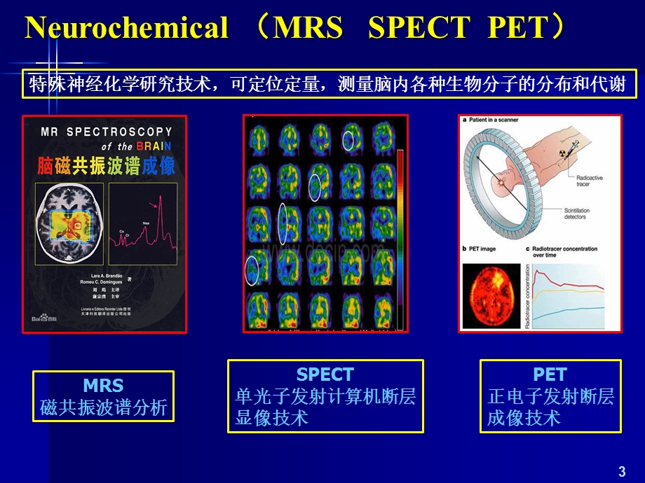 最新李敏计算神经科学的研究方法PPT文档.pptx_第3页