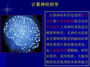 最新李敏计算神经科学的研究方法PPT文档.pptx