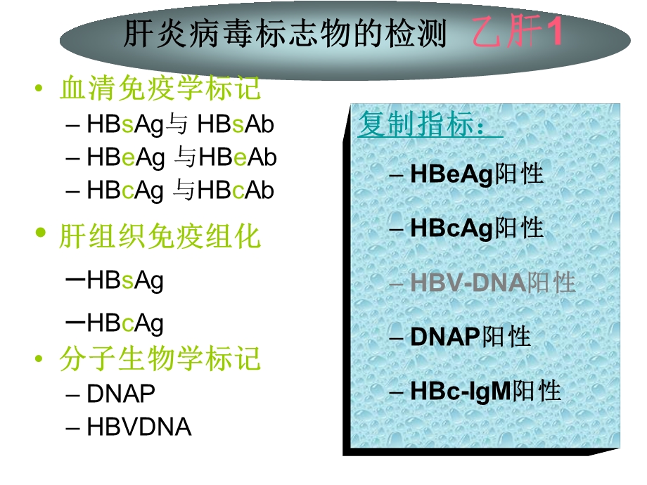 急性HBV感染血清标记物曲线PPT文档.ppt_第2页