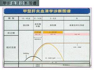 急性HBV感染血清标记物曲线PPT文档.ppt