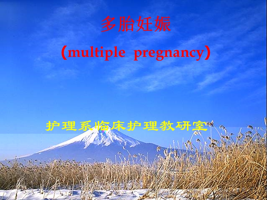 多胎妊娠.PPT文档.ppt_第1页