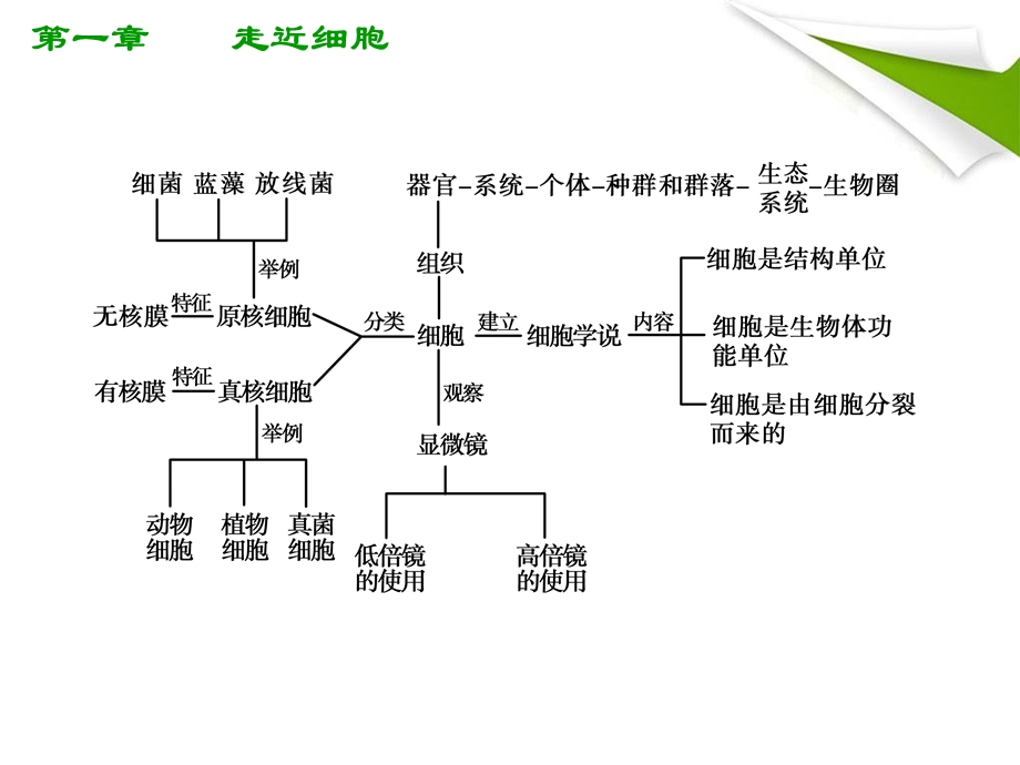 人教版教学课件高考生物总复习课件：1走近细胞知识研习新人教版必修1共25张文档资料.ppt_第1页