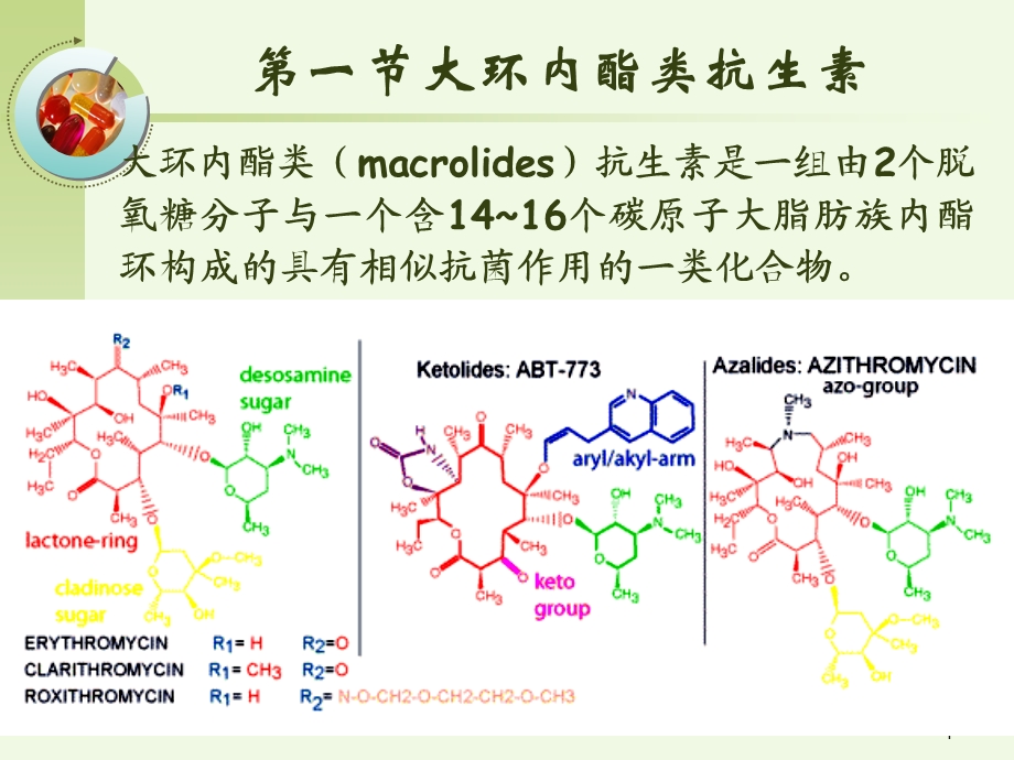 大环内酯类林可霉类药理学PPT文档.ppt_第1页