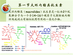 大环内酯类林可霉类药理学PPT文档.ppt