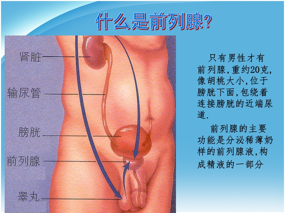 慢性前列腺增生对人体的影响精选文档.ppt_第1页