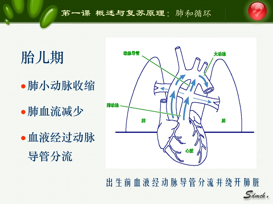 母婴保健培训的资料新生儿复苏教程精选文档.ppt_第3页